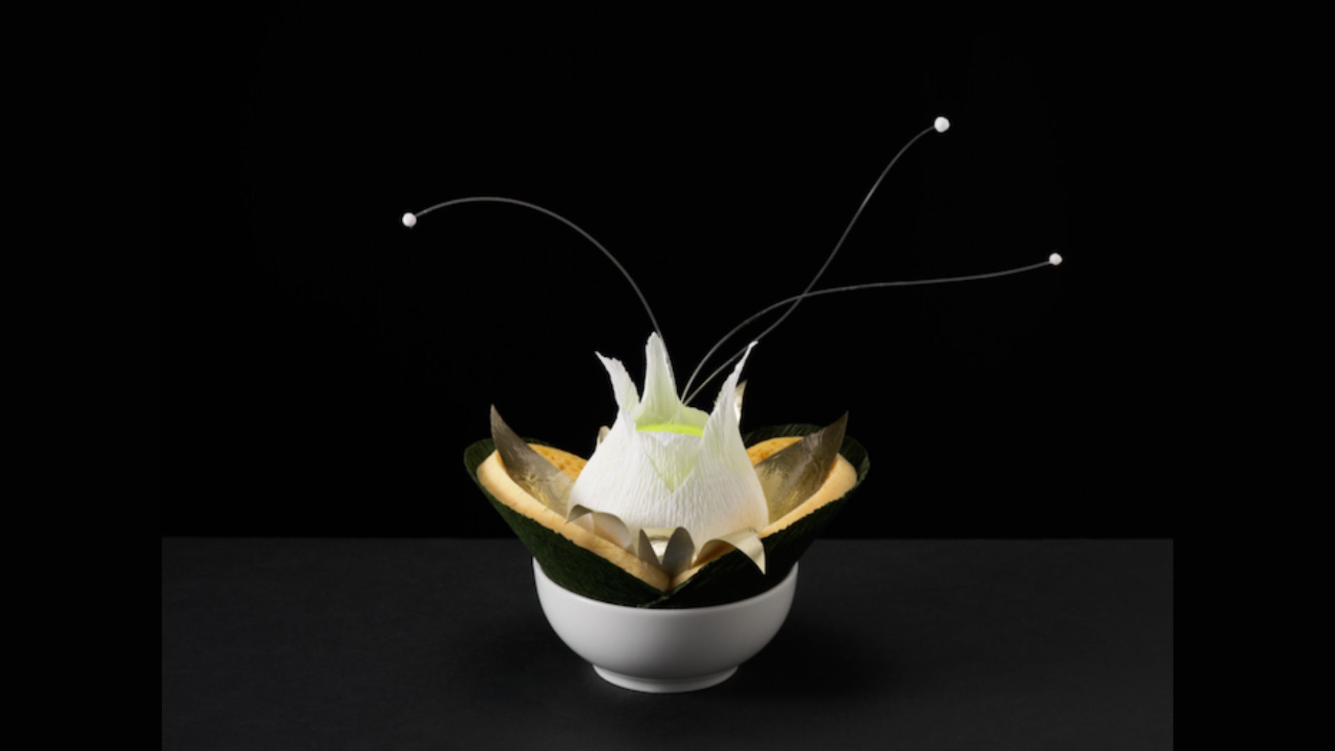 Nina Katchadourian: Fake Plants and Other Curiosities